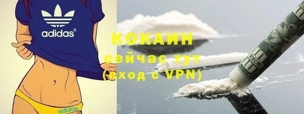 шишки Бронницы