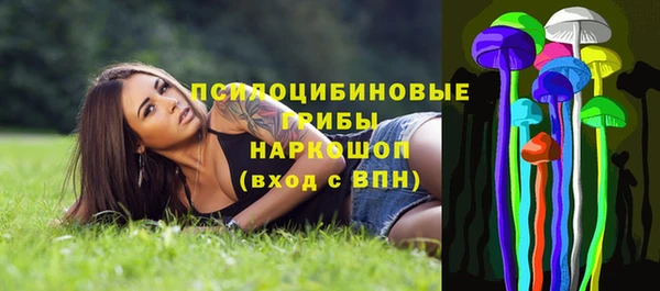 прущие грибы Богданович