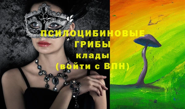 шишки Бронницы